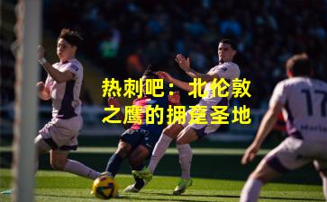热刺吧：北伦敦之鹰的拥趸圣地