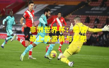 非洲世界杯：绿茵场上的激情与梦想