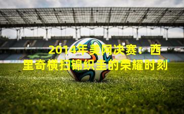  2014年美网决赛：西里奇横扫锦织圭的荣耀时刻