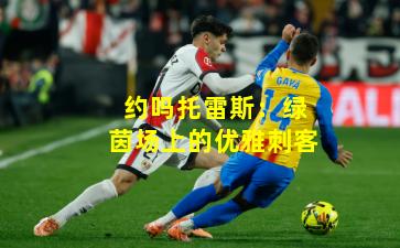 约吗托雷斯：绿茵场上的优雅刺客