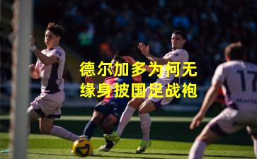 德尔加多为何无缘身披国足战袍