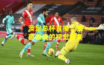 澳足总杯直播：绿茵激战的视觉盛宴