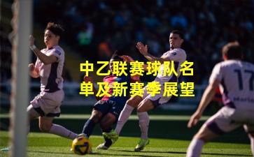 中乙联赛球队名单及新赛季展望
